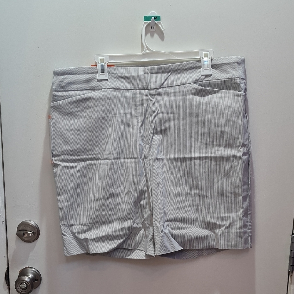 Hilary Radley Soft Gray Shorts